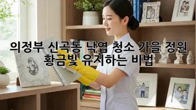 의정부 신곡동 낙엽 청소🍂! 가을 정원, ✨황금빛 유지하는 비법✨